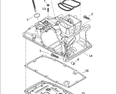 29400448