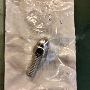 HD OEM SCREW 8181 ACORN NUT ASSY