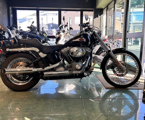 SOFTAIL STANDARD FXST CARBURATORE 2002