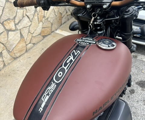 089 Garage - Harley Davidson XG750A Street Rod 2018 Red Iron Denim 10150km 6