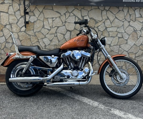 089 Garage - Harley Davidson XL 1200 C del 2001